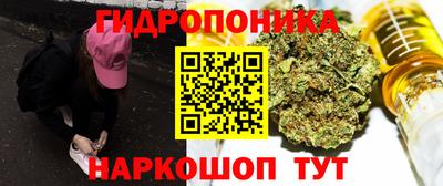 стафф Заводоуковск